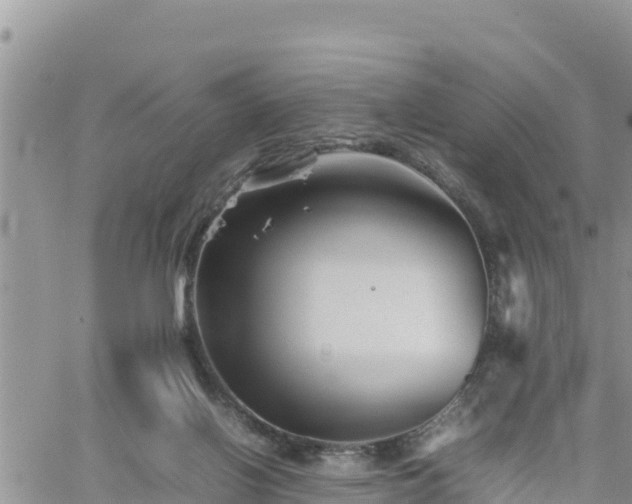 X0000062170070200512121251