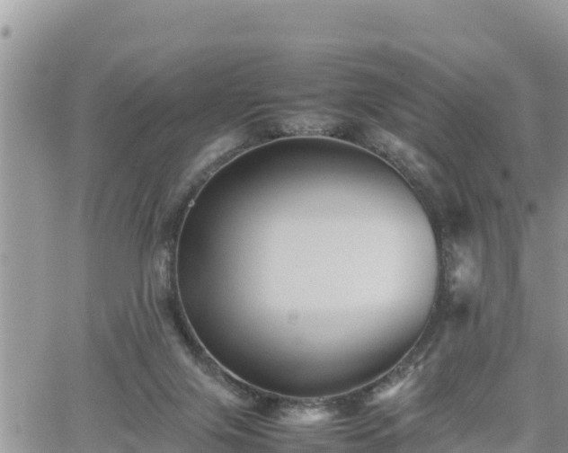 X0000062170071200512121251