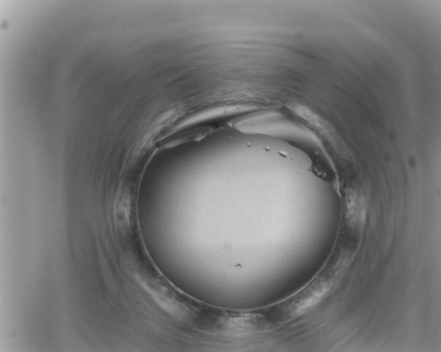 X0000062170072200512121251