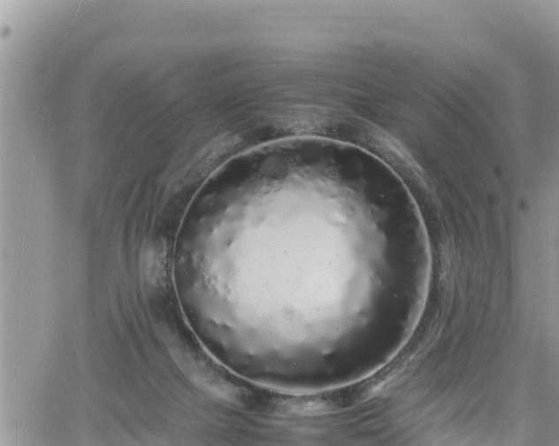 X0000062170073200512121251