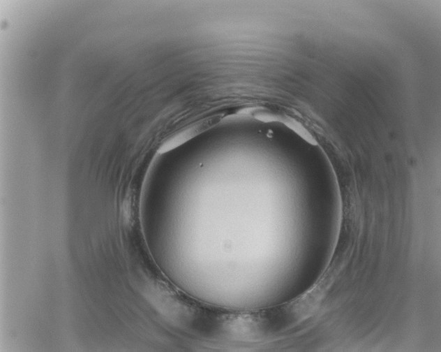 X0000062170074200512121251