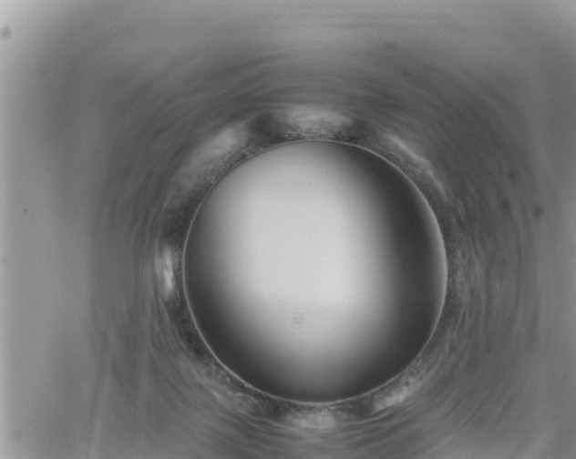 X0000062170075200512121251