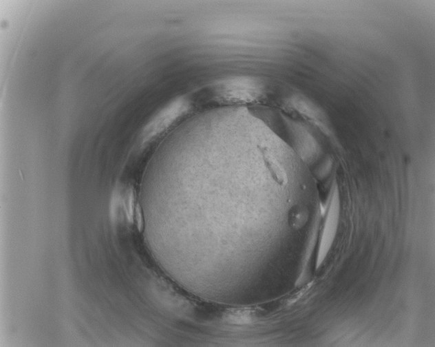 X0000062170076200512121251