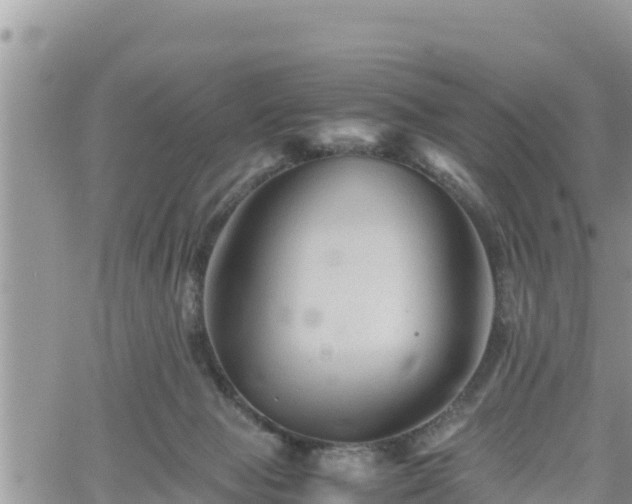 X0000062170077200512121251