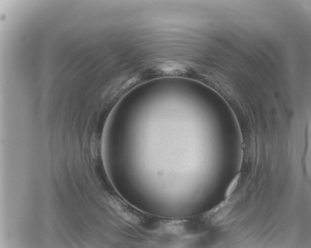 X0000062170078200512121251