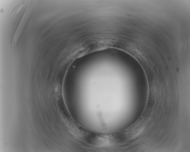 X0000062170079200512121251