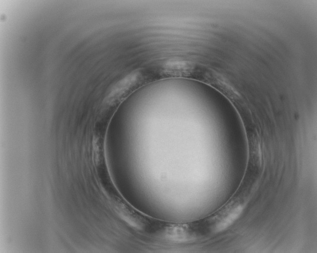 X0000062170080200512121251