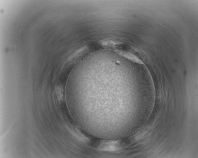 X0000062170081200512121251