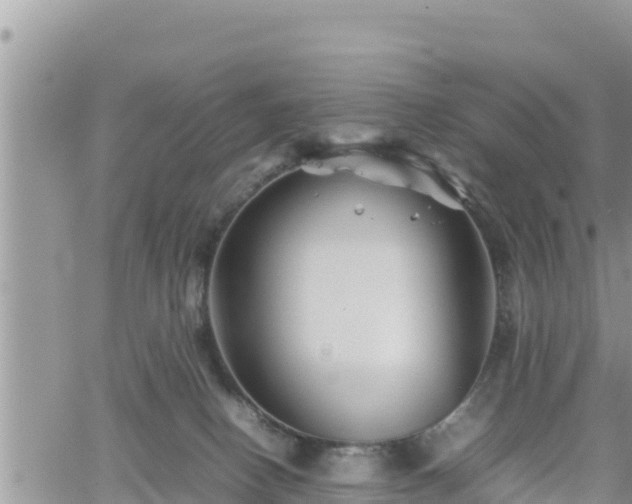 X0000062170082200512121251