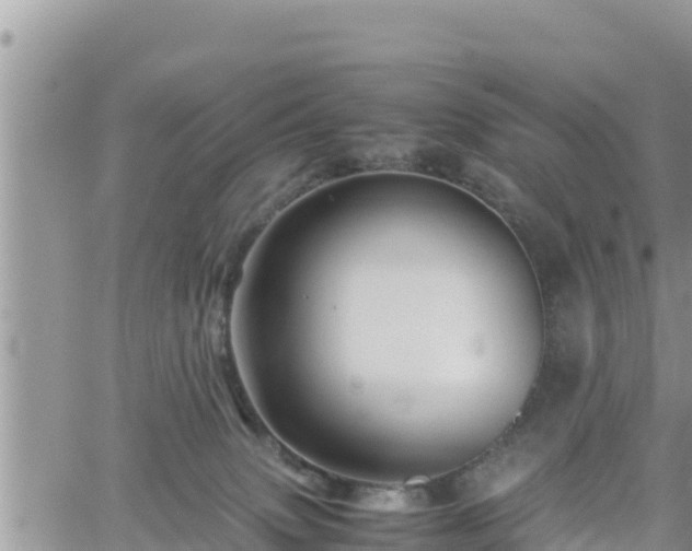 X0000062170083200512121251