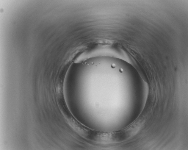 X0000062170084200512121251