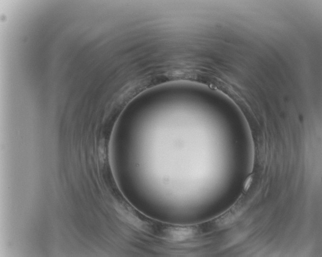 X0000062170085200512121251