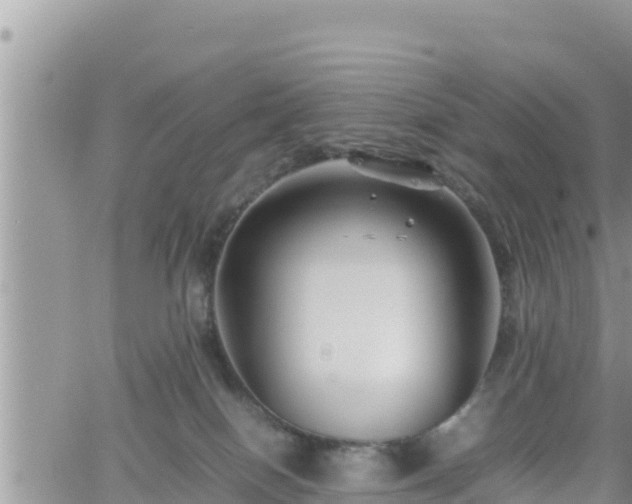 X0000062170086200512121251