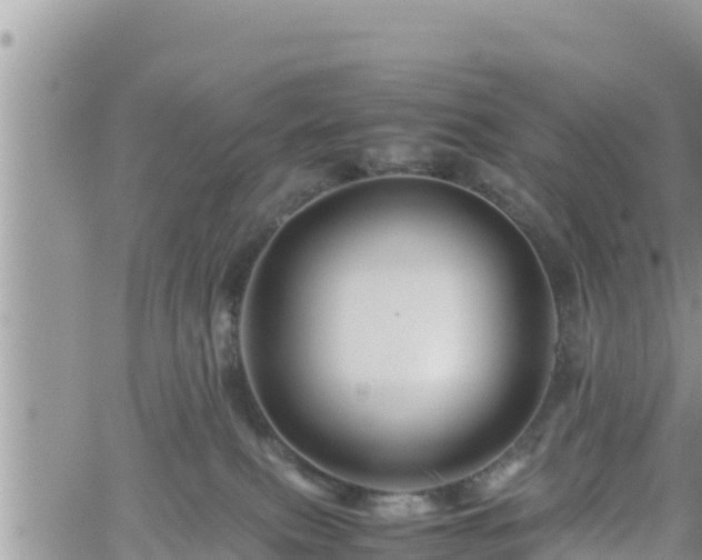 X0000062170087200512121251