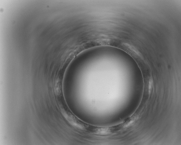 X0000062170088200512121251