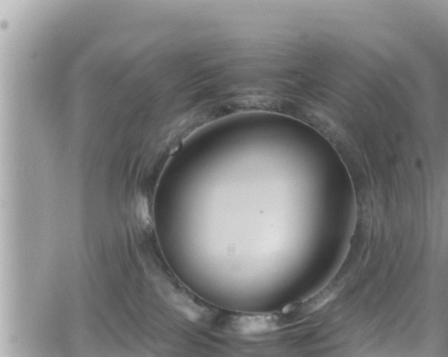 X0000062170089200512121251