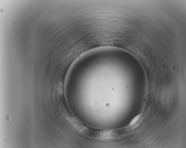 X0000062170090200512121251