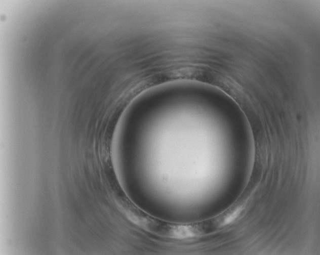 X0000062170091200512121251