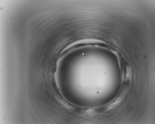 X0000062170092200512121251