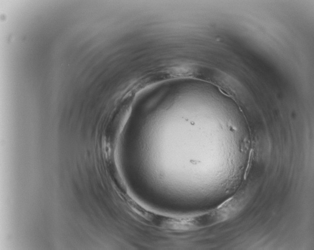 X0000062170093200512121251