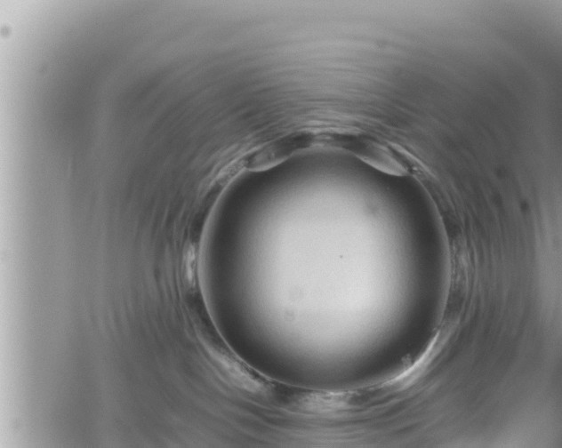 X0000062170094200512121251