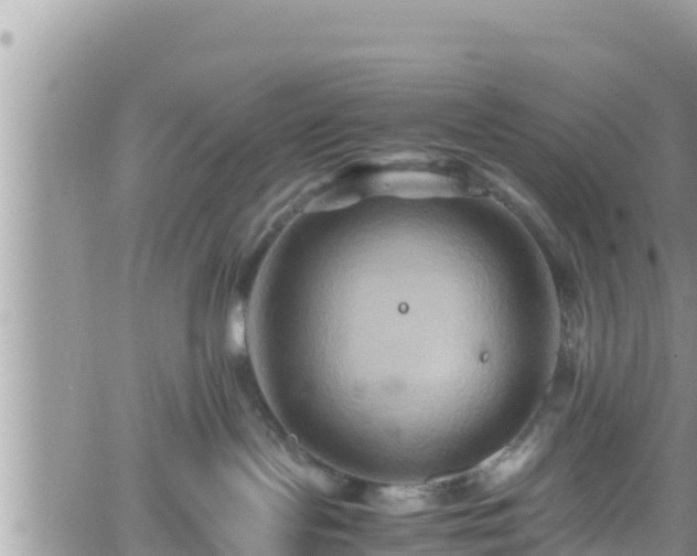 X0000062170095200512121251