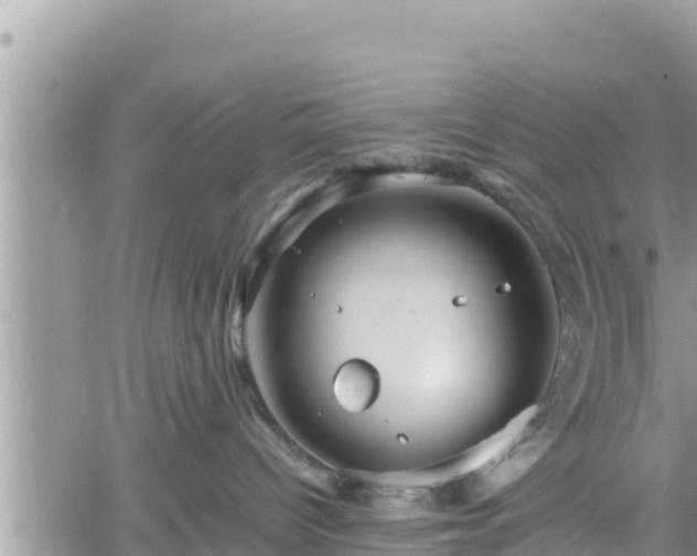 X0000062170096200512121251