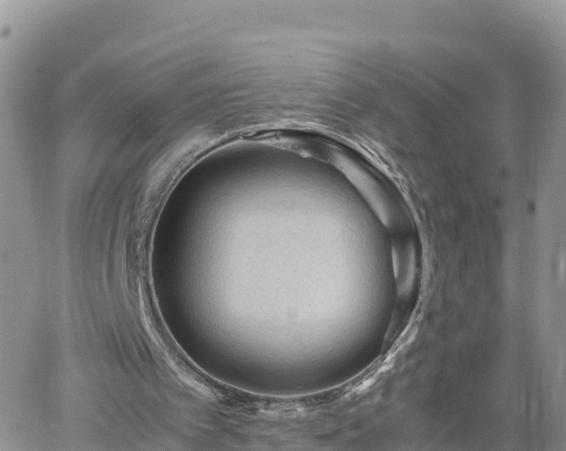 X0000062170097200512121250