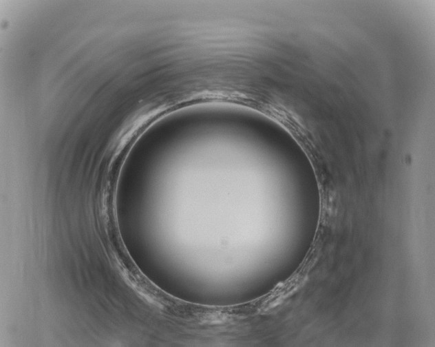 X0000062170098200512121250