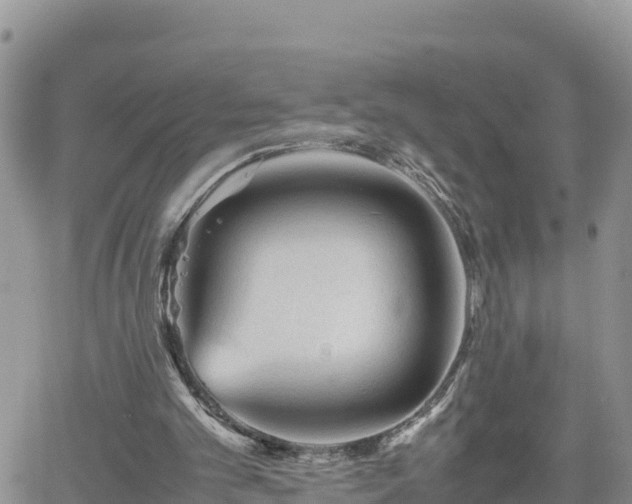 X0000062170101200512121250