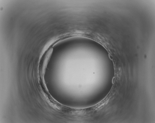 X0000062170102200512121250