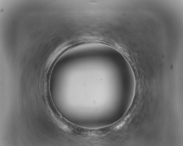 X0000062170103200512121250