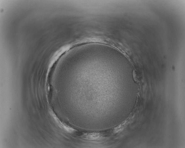 X0000062170104200512121250