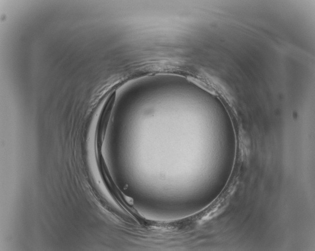 X0000062170105200512121250