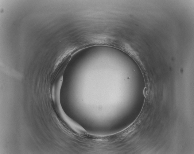 X0000062170106200512121250