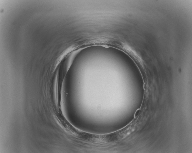 X0000062170107200512121250