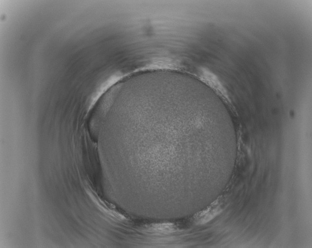 X0000062170108200512121250