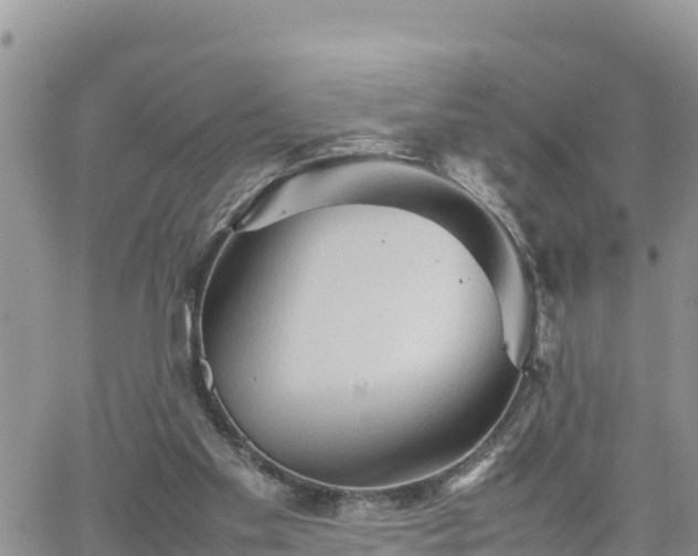 X0000062170109200512121250