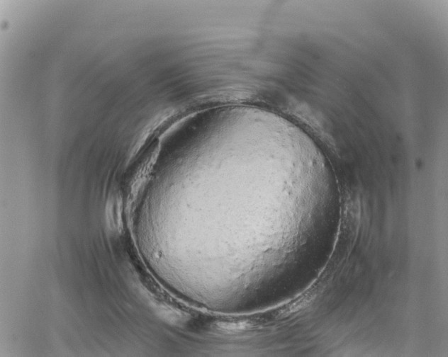 X0000062170110200512121250