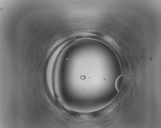 X0000062170111200512121250