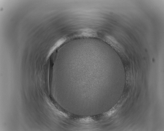 X0000062170112200512121250