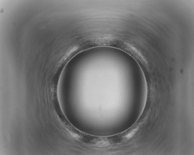 X0000062170113200512121250