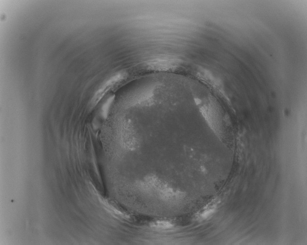 X0000062170114200512121250