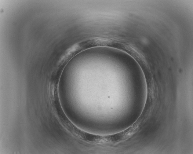 X0000062170115200512121250