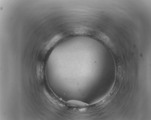 X0000062170116200512121250