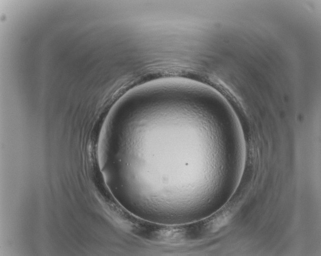 X0000062170117200512121250