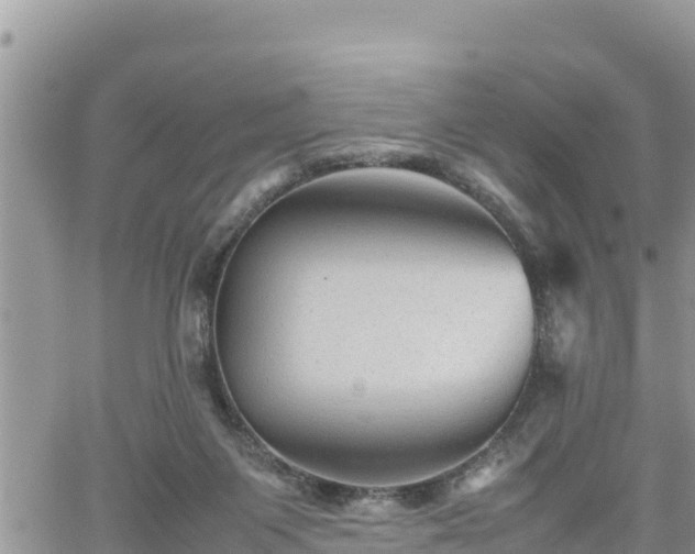 X0000062170119200512121250