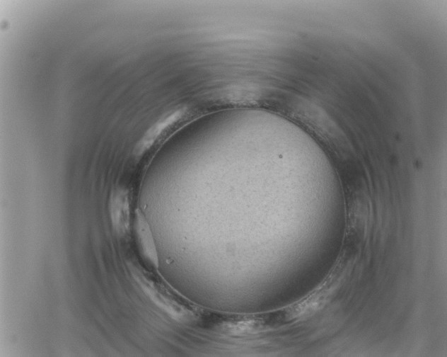 X0000062170120200512121250