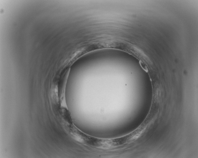 X0000062170121200512121250