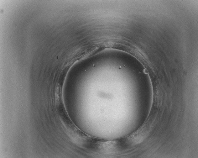 X0000062170122200512121250